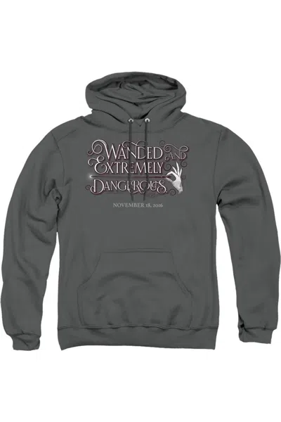Gildan Fantastic Beasts Wanded Adult Pull Over Hoodie / Hooded Sweatshirt In Pink
