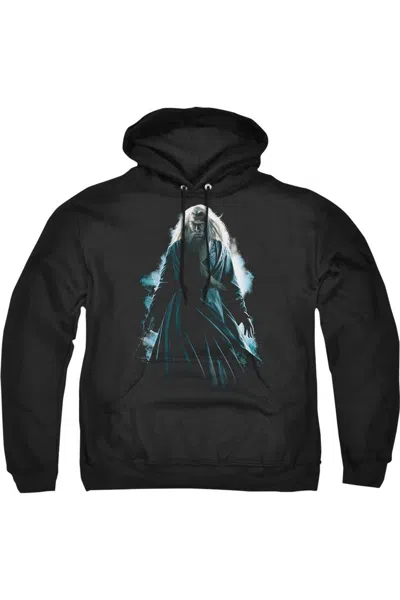 Gildan Harry Potter Dumbledore Burst Adult Pull Over Hoodie / Hooded Sweatshirt In Black