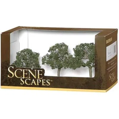 Bachmann 2.5 In.-3.5 In. Walnut Trees - 3