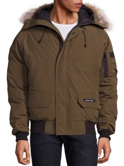 Canada Goose 'chilliwack' Down Bomber Jacket With Genuine Coyote Trim In Military Green
