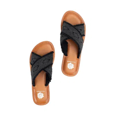 Yellow Box Deska Black Crisscross Sandal In Black
