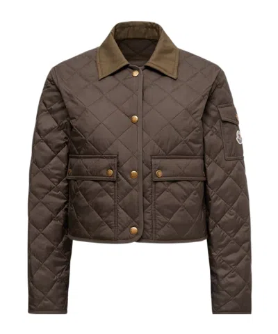 Moncler Chitre Cropped Cotton-canvas Trimmed Padded Quilted Shell Jacket In Green