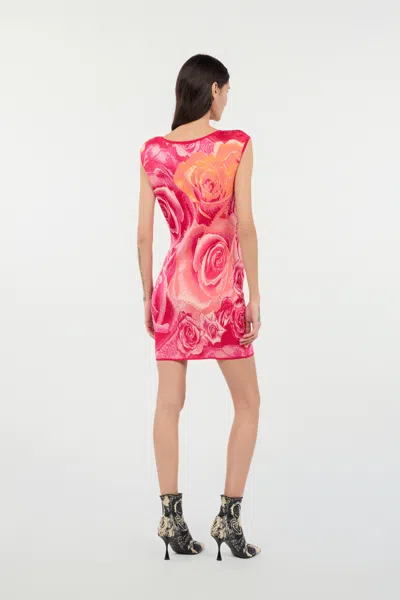 Roberto Cavalli Mini Dress With Garden Rose Print In Rosa