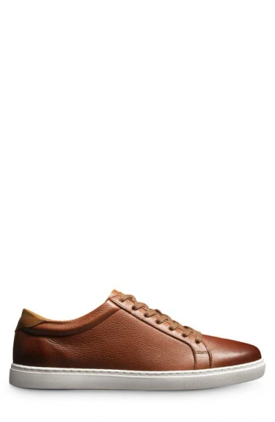 Allen Edmonds Courtside Sneaker In Brown