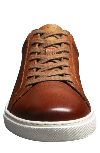 Allen Edmonds Courtside Sneaker In Brown