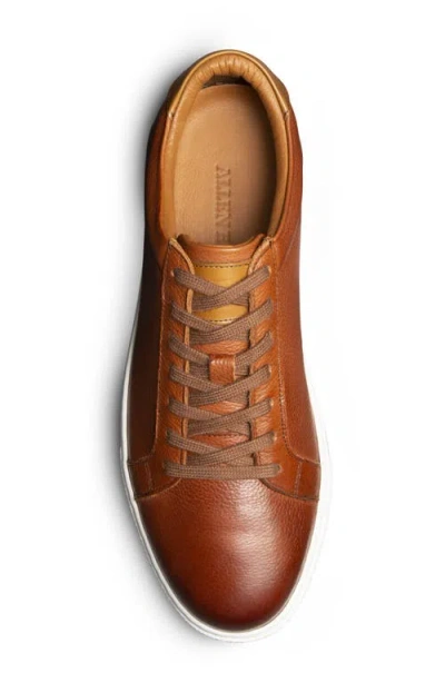 Allen Edmonds Courtside Sneaker In Brown