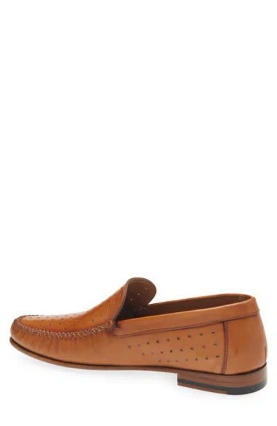 Mezlan Perforated Moc Toe Loafer In Cocoa