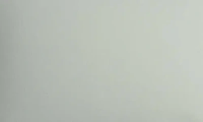 Parachute Percale Sham Set In Sage