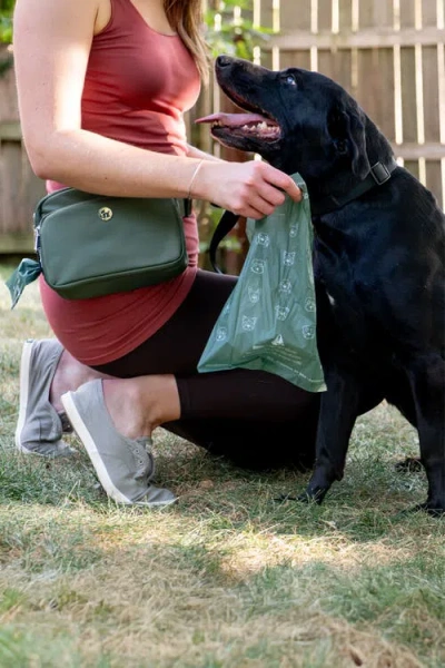 Puppington 3-in-1 Dog Walking Bag With Poop Bags In Basil Green