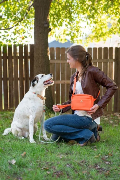 Puppington 3-in-1 Dog Walking Bag With Poop Bags In Poppy Orange