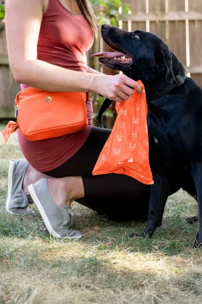Puppington 3-in-1 Dog Walking Bag With Poop Bags In Poppy Orange