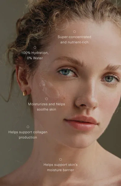 Oak Essentials Moisture Rich Balm In No Color