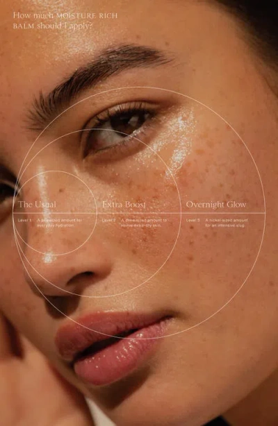 Oak Essentials Moisture Rich Balm In No Color