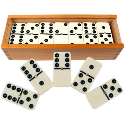 Hey Play Double Six Dominoes With Wood Case Black & White - Set Of 28