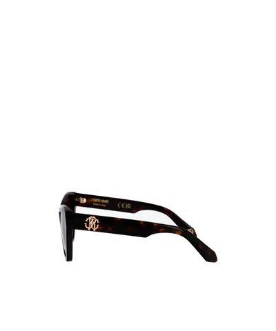 Roberto Cavalli Havana Scura Acetate Sunglasses In Black