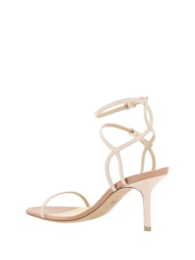 Francesco Russo Ankle Strap Sandals In Pink