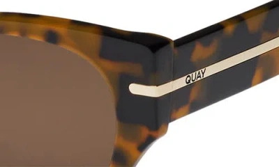 Quay Chit Chat In Multi