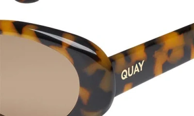 Quay Felt Cute 52mm Gradient Small Oval Sunglasses In Pebble Tort/tan