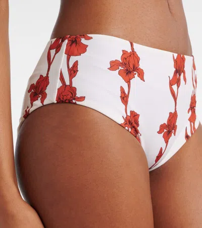 La Doublej Boy Brief In Mini Iris Dark Orange