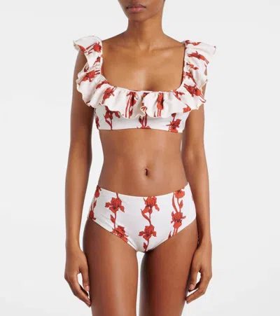 La Doublej Boy Brief In Mini Iris Dark Orange