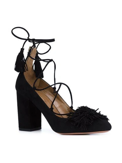 Shop Aquazzura ‘wild' Pumps  In Black