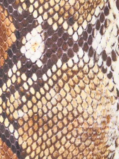 Roberto Cavalli Python Print Mini Skirt In 褐色