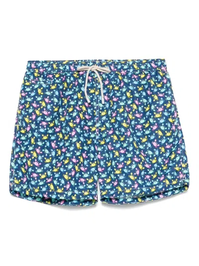Mc2 Saint Barth Badeshorts Mit Shark Trouble-print In Blue