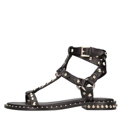Ash Stud-embellished Leather Sandals In Black