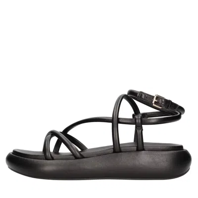 Ash Sandalo "vice" In Nero Scuri