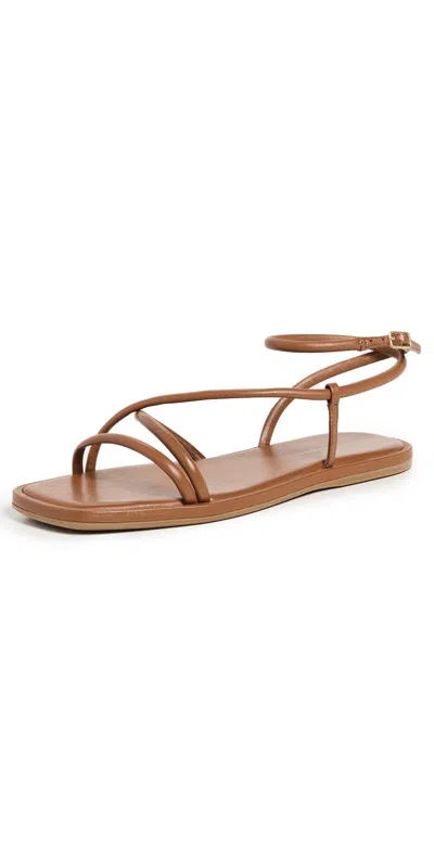 Loeffler Randall Noor Strappy Sandals Timber In Timber