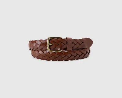 Levi's Leather Braid Belt In Brown