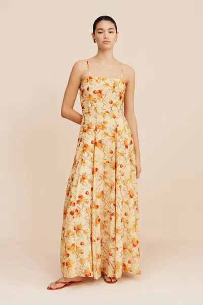 The Posse Paloma Maxi Dress In Citrus Floral