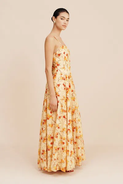 The Posse Paloma Maxi Dress In Citrus Floral