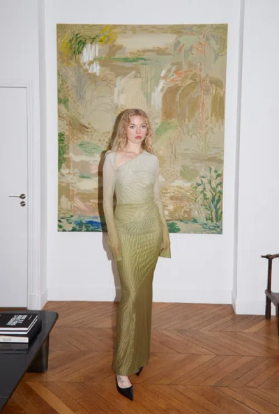 Saemdi Gradient Mesh Dress In Olive Green Gradient