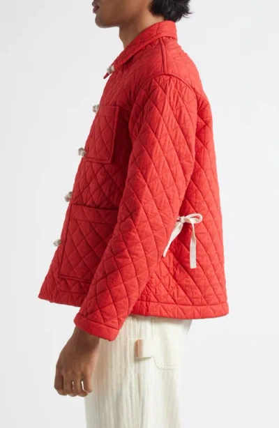 Bode Red Coton Hobby Jacket In Animal Print