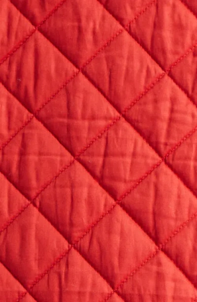 Bode Red Coton Hobby Jacket In Animal Print