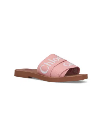 Shop Chloé Sandals In Pink