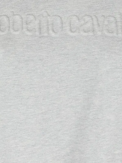 Roberto Cavalli Sweatshirt With Stand-up Collar In Grau