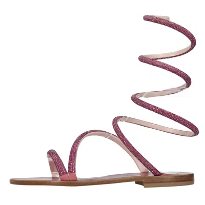 Eddi Cuomo Flat Shoes Fuchsia In Fucsia Vivaci