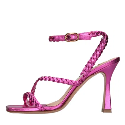 Francesco Sacco Sandals Fuchsia In Fucsia Vivaci
