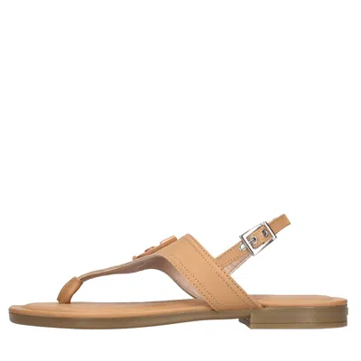 Liu •jo Liu Jo Flat Shoes Brown In Marrone Scuri