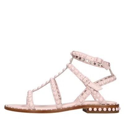 Ash Play Bis Pink Flat Sandal