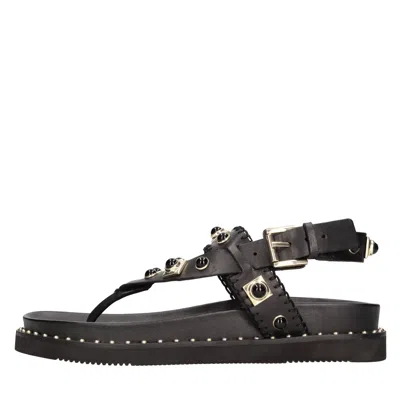 Ash Uteca Stud-embellished Leather Sandals In Black
