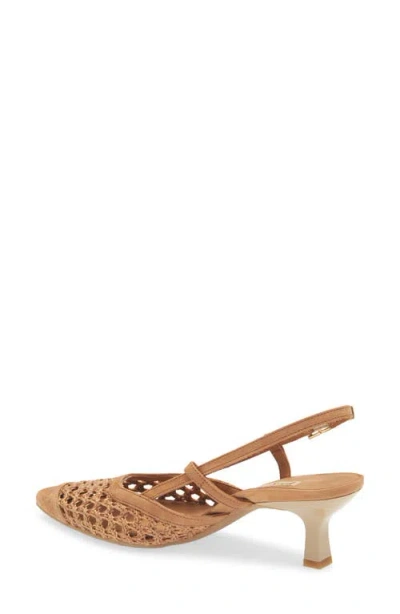 Paul Green Amica Slingback Pointed Toe Pump In Sisal Diva Combo
