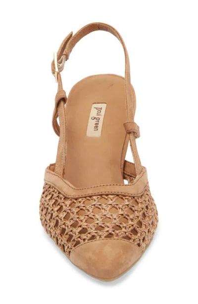 Paul Green Amica Slingback Pointed Toe Pump In Sisal Diva Combo