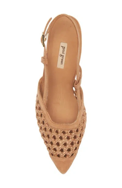 Paul Green Amica Slingback Pointed Toe Pump In Sisal Diva Combo