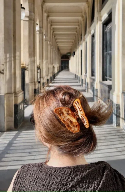 Solar Eclipse Morpho Butterfly Claw Clip In Brown