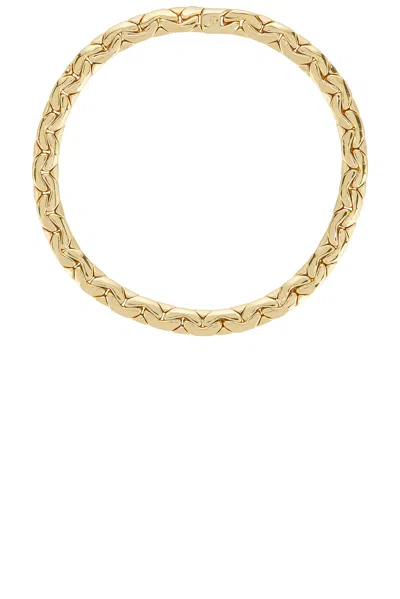 Jennifer Fisher Tribeca Chain Necklace In Yellow Gold
