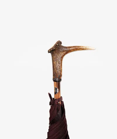 Larusmiani Folding Umbrella Umbrella In Darkred