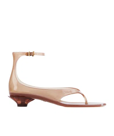 Chloé Chloe Women Biscuit Tpu Chloe Jelly Thong Sandals In Brown